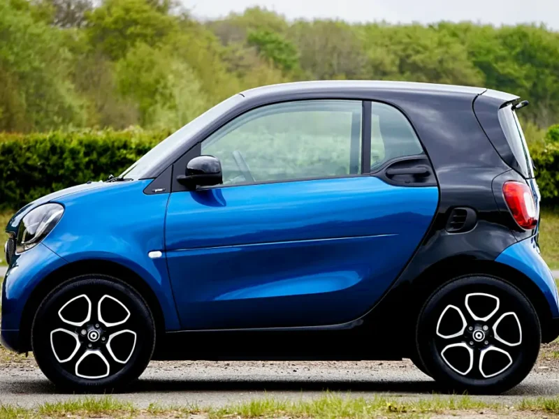 Small electric car
