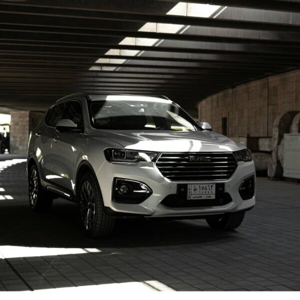 chinese ev