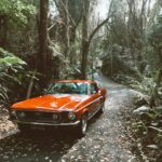 Preventing car theft: how to protect your car from modern theft techniques