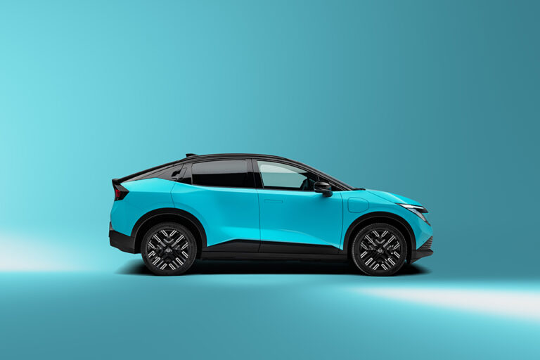 Infotainment and software faults Nissan Leaf