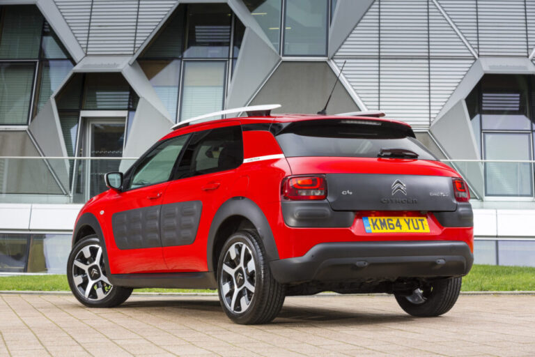 Buying a good C4 Cactus