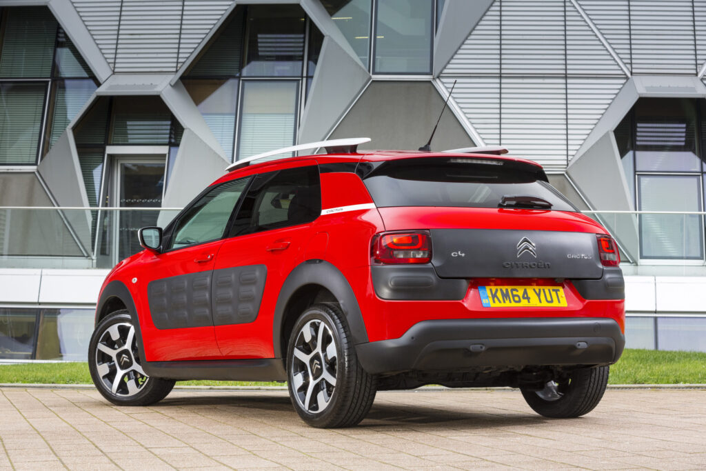 Buying a good C4 Cactus