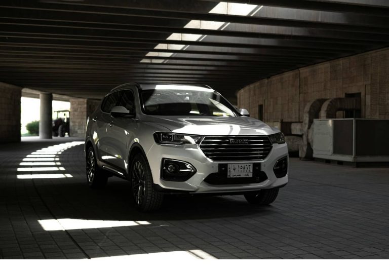 chinese ev