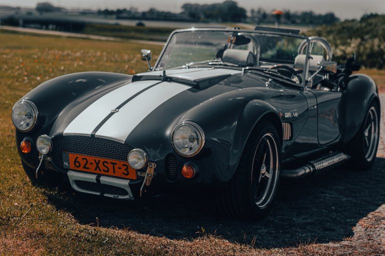 oude auto's jaren 60