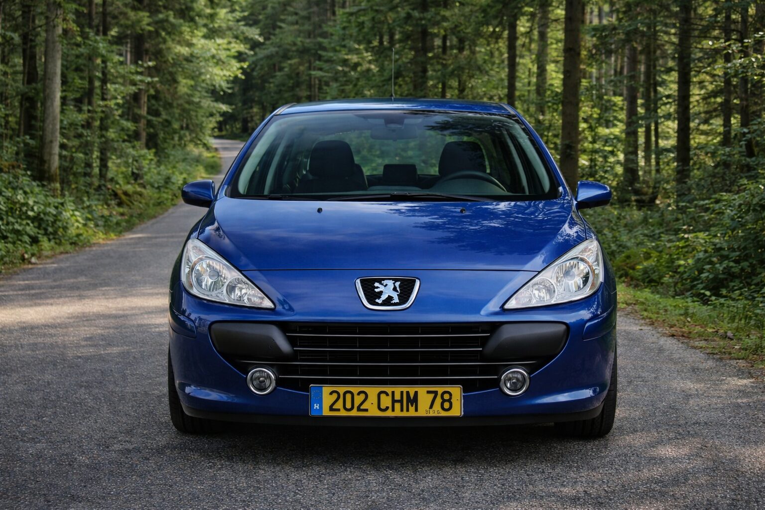Peugeot 307